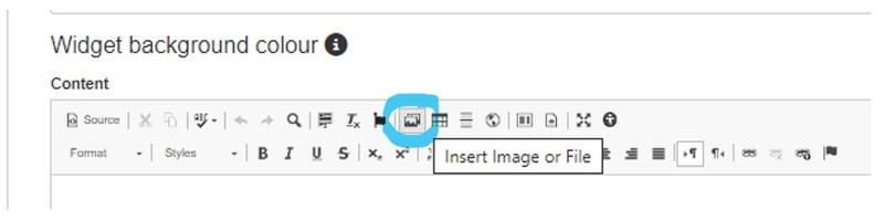 screenshot of insert image or file icon on edit widget toolbar